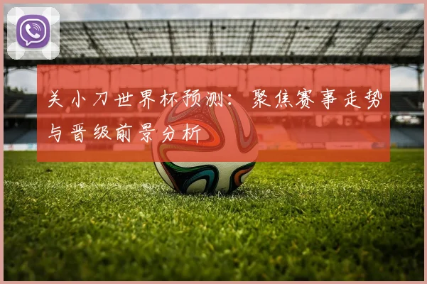 关小刀世界杯预测:聚焦赛事走势与晋级前景分析